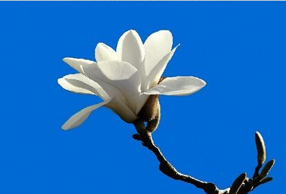 1588909057397269.png blob.png