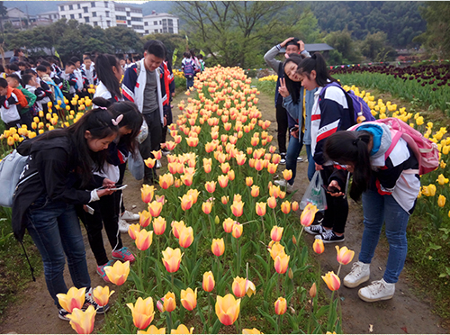 1588919487991452.png blob.png