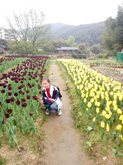 1589003499136875.png blob.png